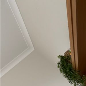 Meet your Posher, Youngjoo